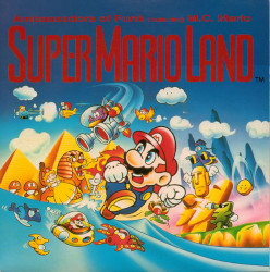 SuperMarioLand Single